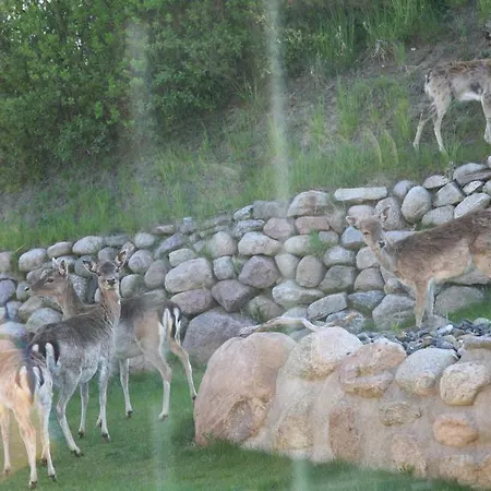 Alter Schwede - 아파트